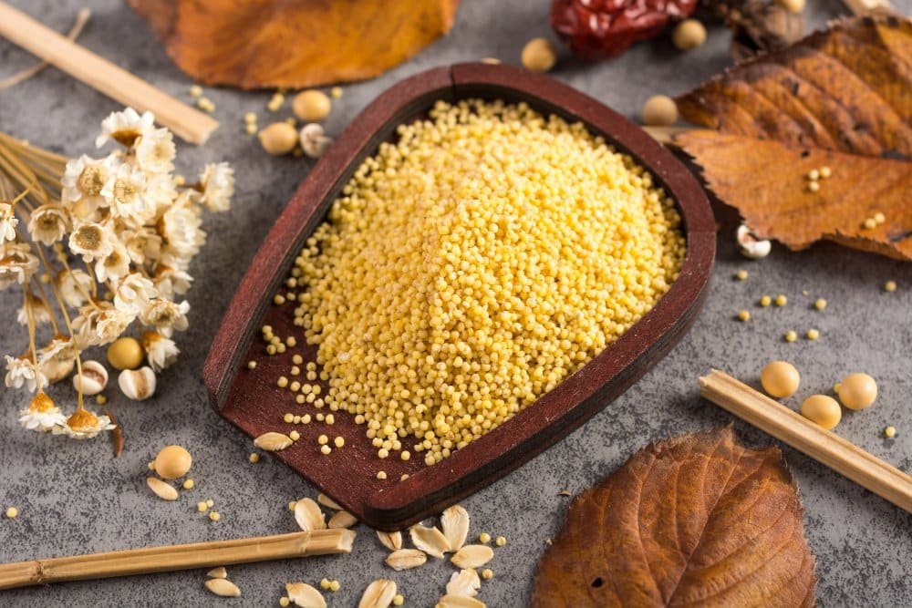 L'histoire du couscous